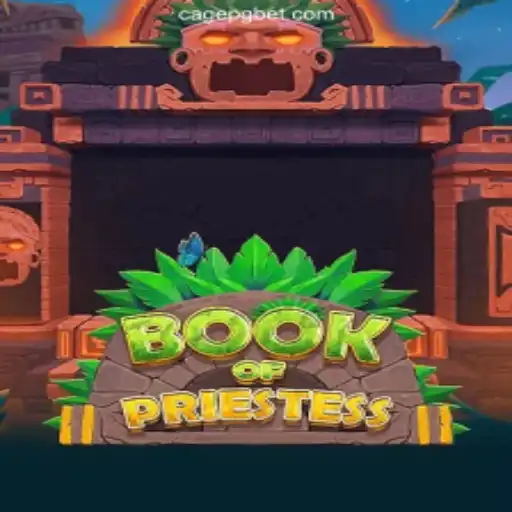 Discover the Mysteries of BookOfPriestess: A New Gaming Experience